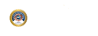 system logo